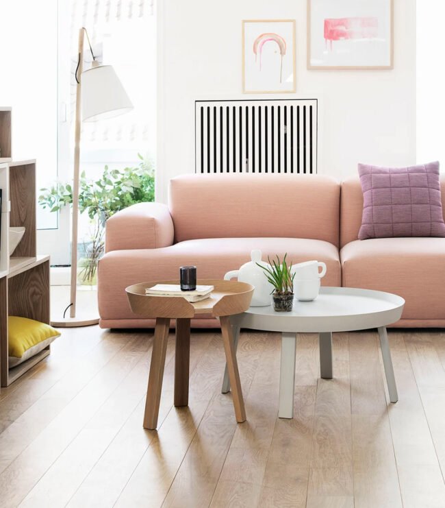 Raspberrry SOFA(SHEESAM) - Image 2